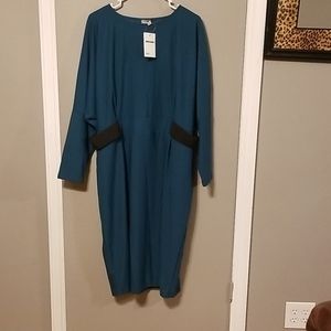 Womans asos curve dress